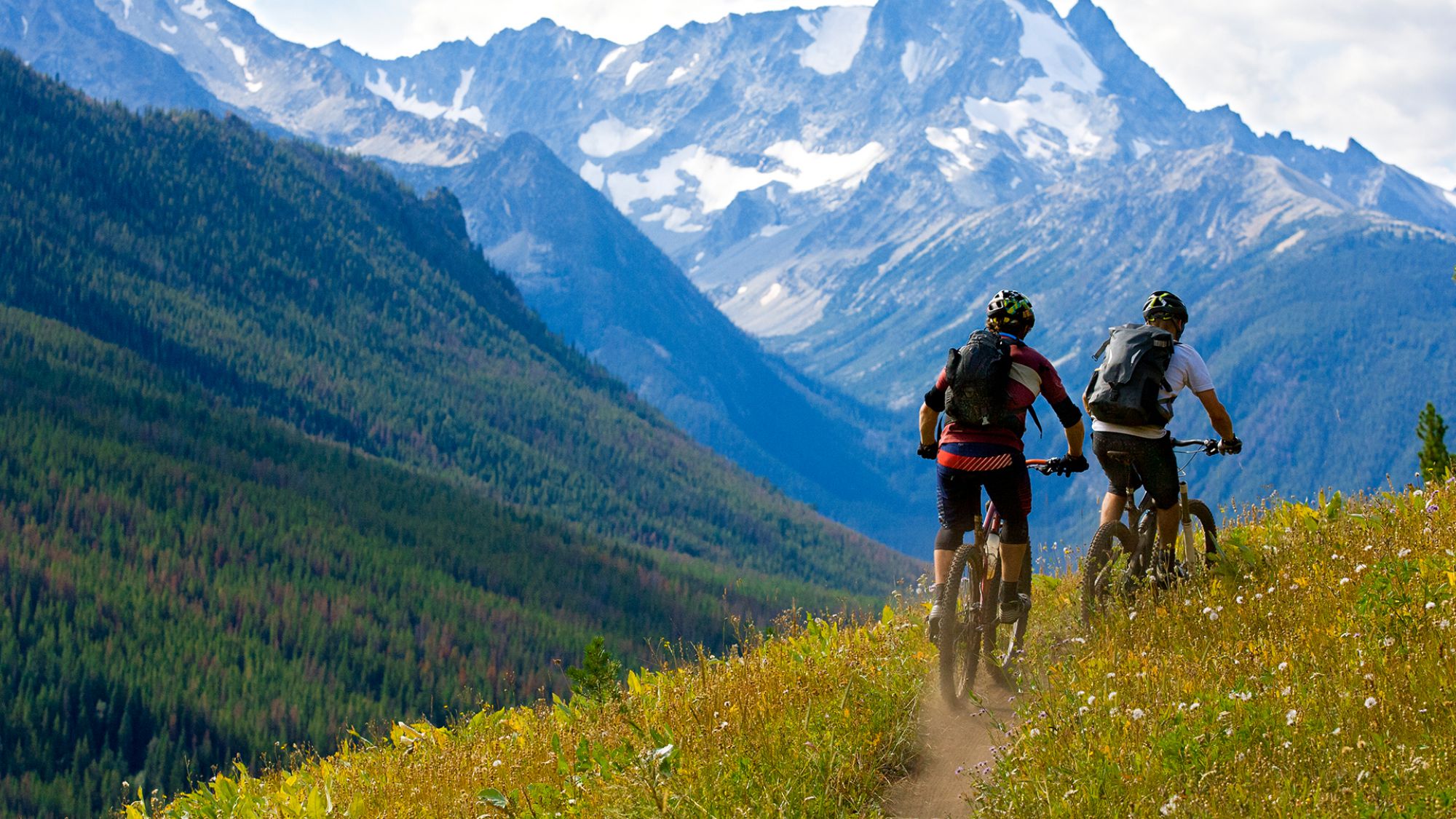 Community and Charity 